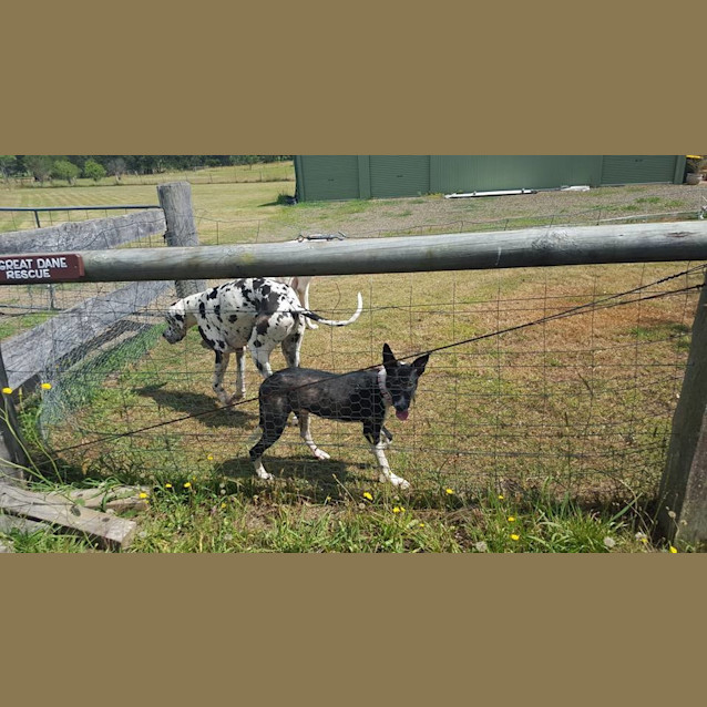 Photo of Martha (Nsw)