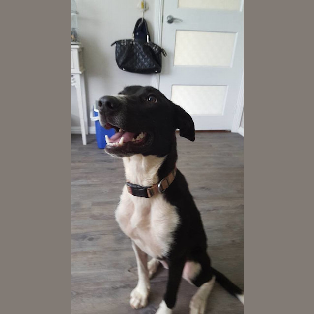 Photo of Martha (Nsw)