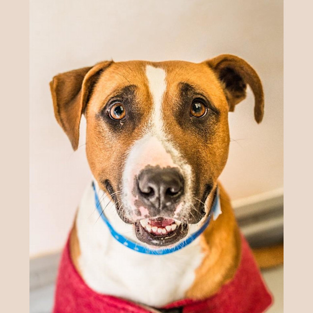 Photo of Jake (1560)