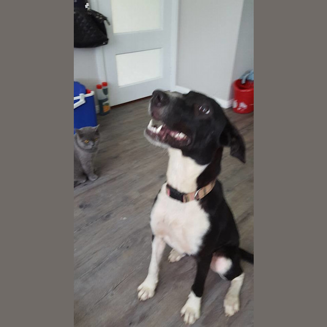 Photo of Martha (Nsw)