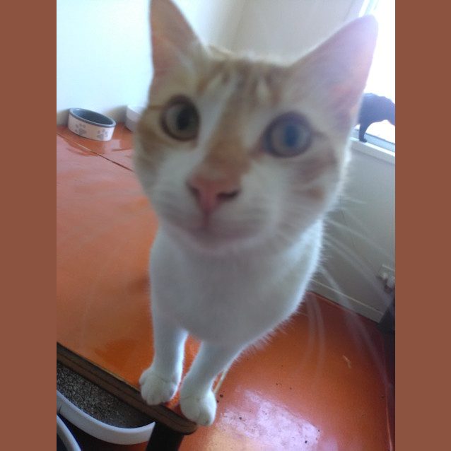 Photo of Colby
