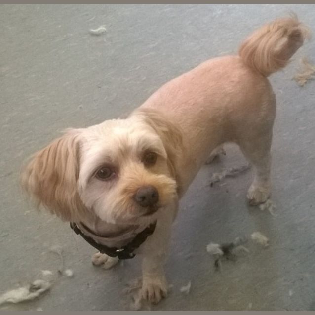 Photo of Bella & Sasha