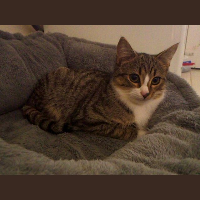 Photo of Hugo