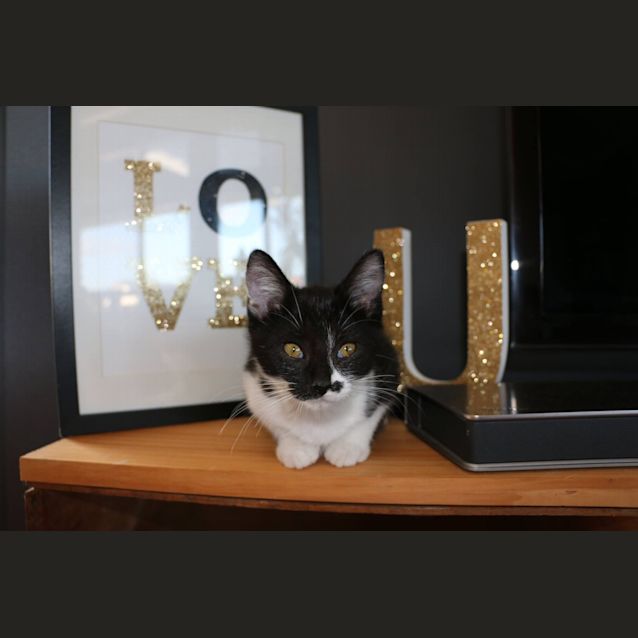 Photo of Kiah
