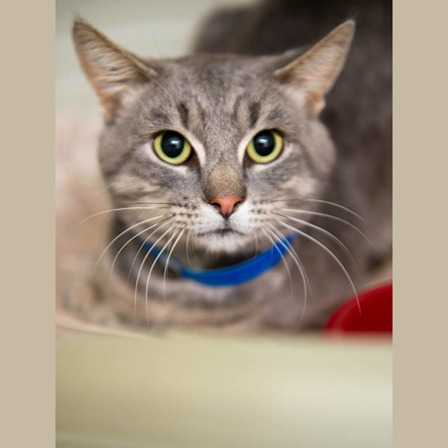 Photo of Walker (#0003)