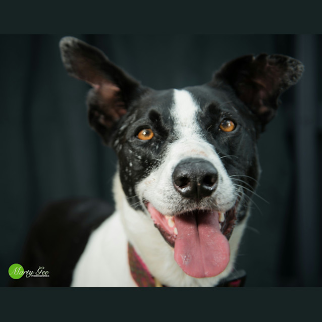 Photo of Sally