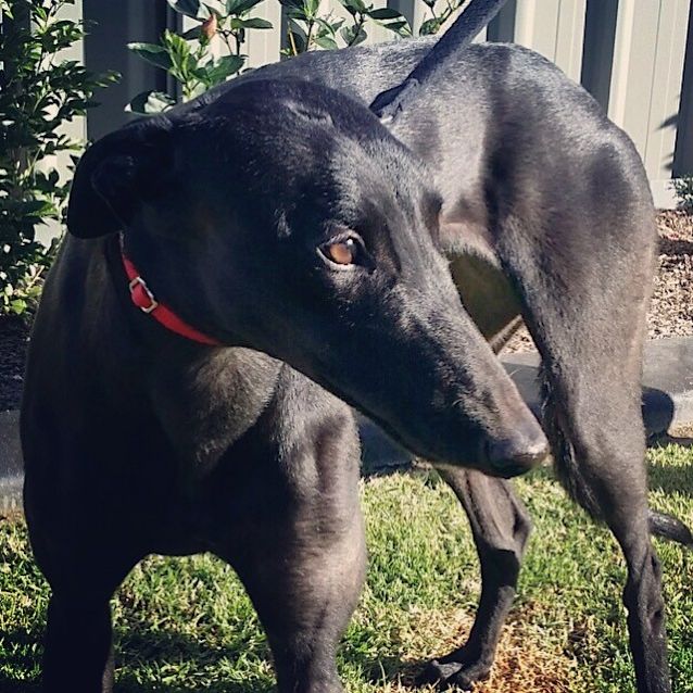 Photo of Abbey Is Checking Out Her New Home