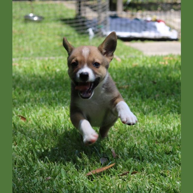 Photo of Annie