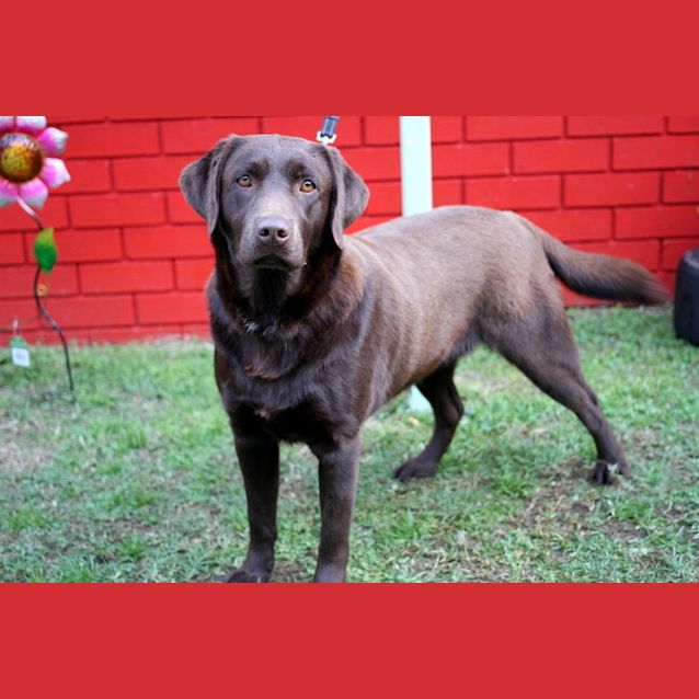 Photo of Coco