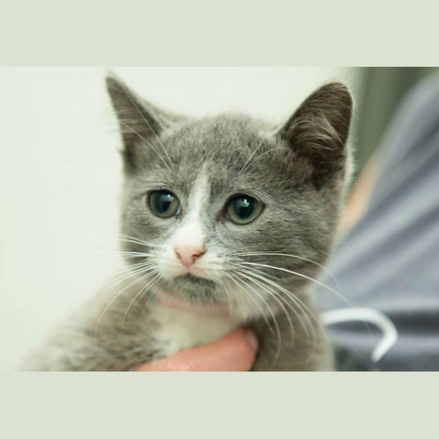 Photo of Monk (0313)