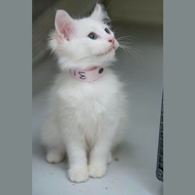 Photo of Eric (0314)