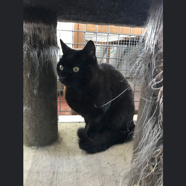 Photo of Milly