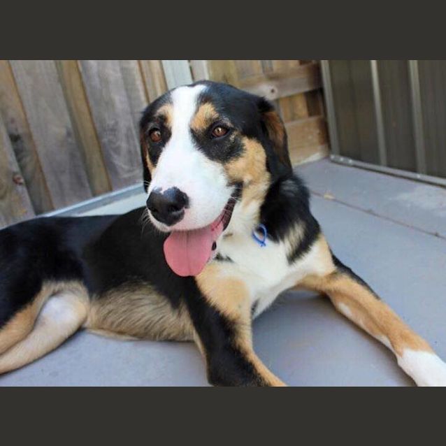 Photo of Ruby
