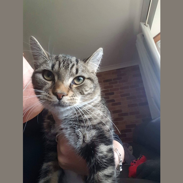 Photo of Finn