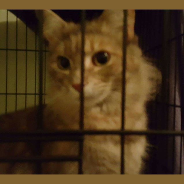Photo of Maisey 