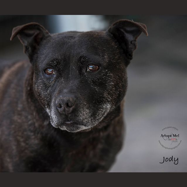 Photo of Jody Id33441