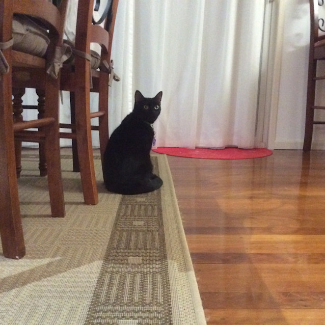 Photo of Hera