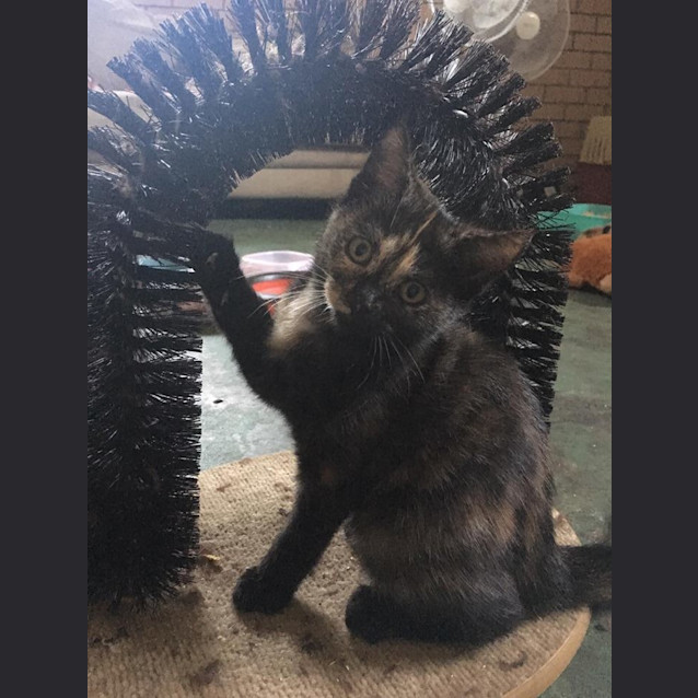 Photo of Bonnie 