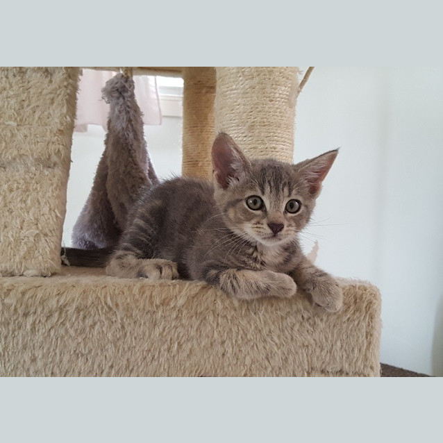 Photo of Leia