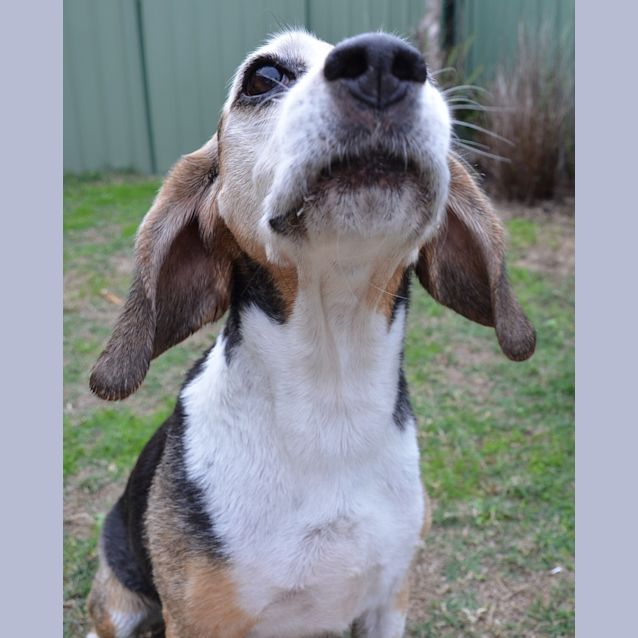 Photo of Frank