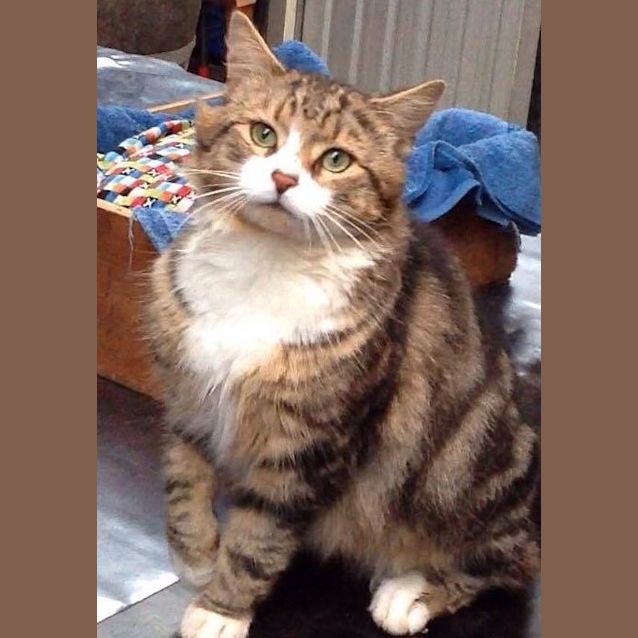 Photo of Moogie
