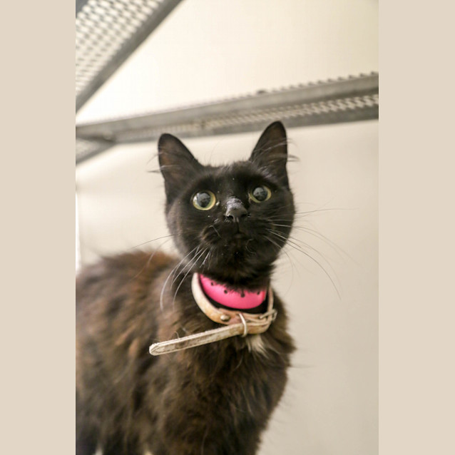 Photo of Olivia (0085)