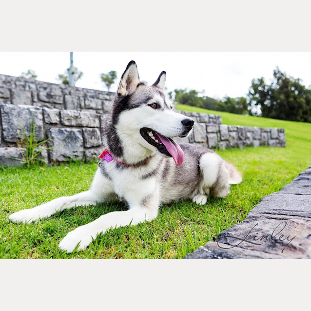 Photo of Tia