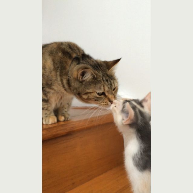 Photo of Anna And Frida