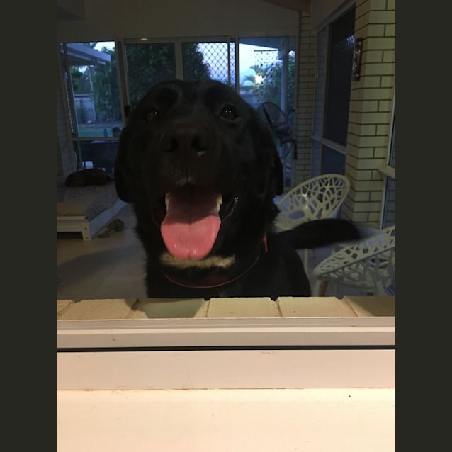 Photo of Kane