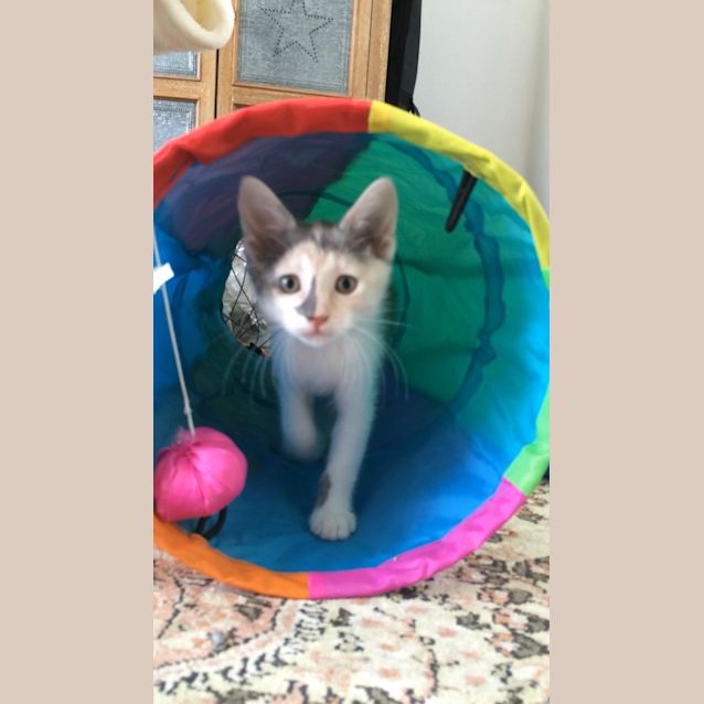 Photo of Anna And Frida