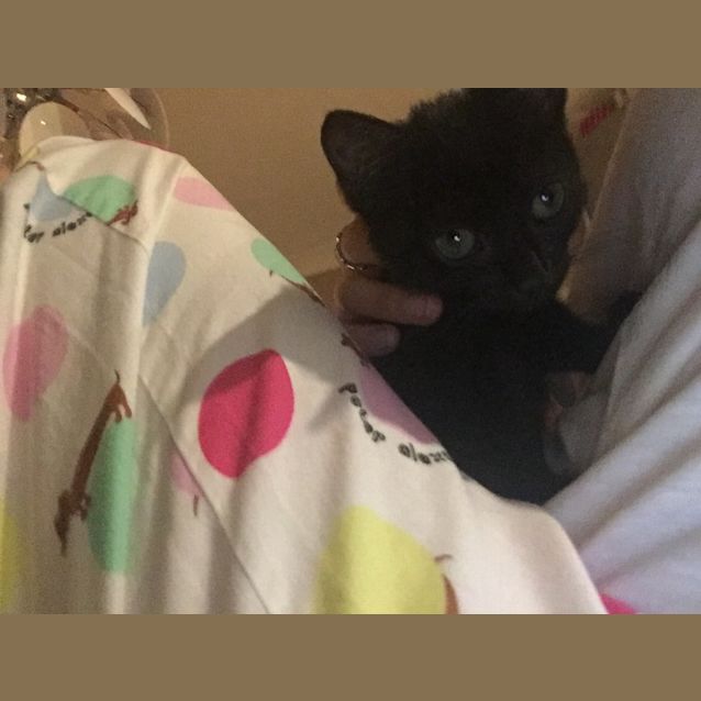 Photo of *** Miranda ***