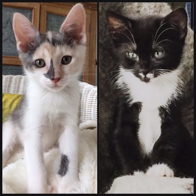 Photo of Anna And Frida