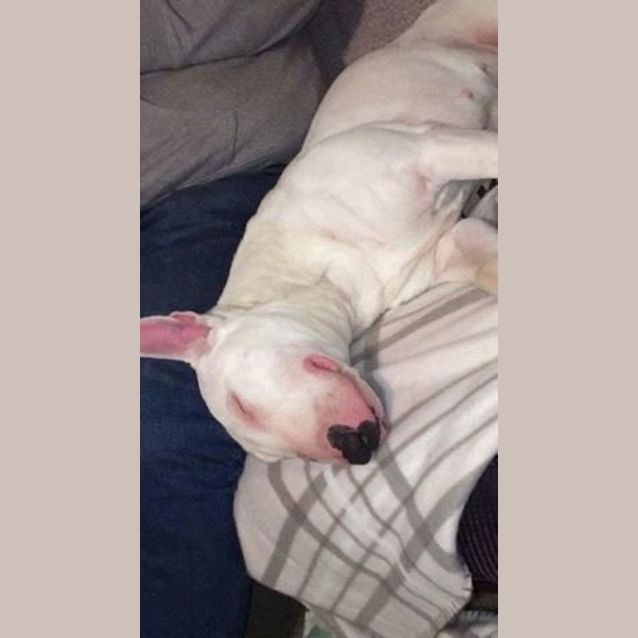 Photo of Bonnie (Foster)