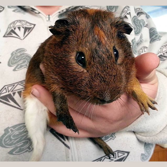 Photo of Timmy