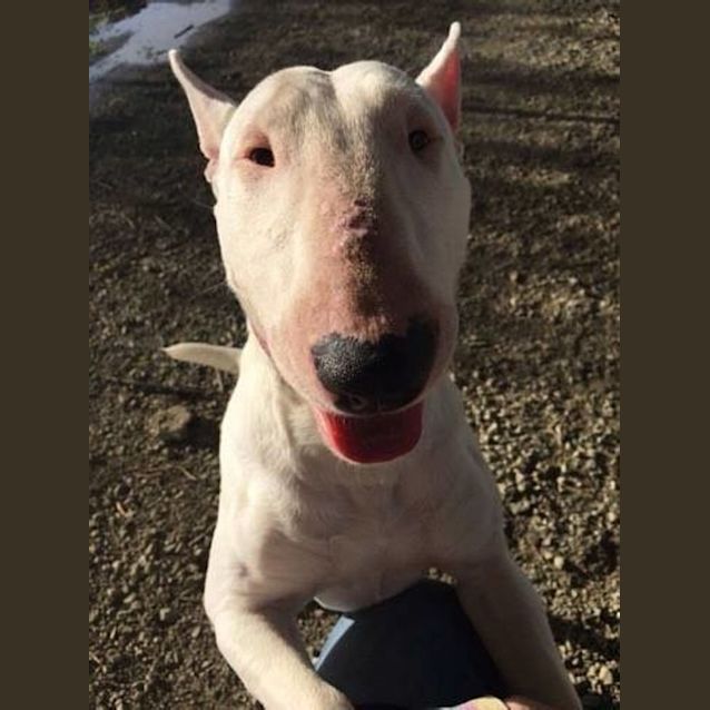 Photo of Bonnie (Foster)