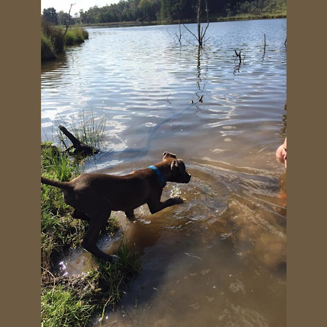 Photo of Archie
