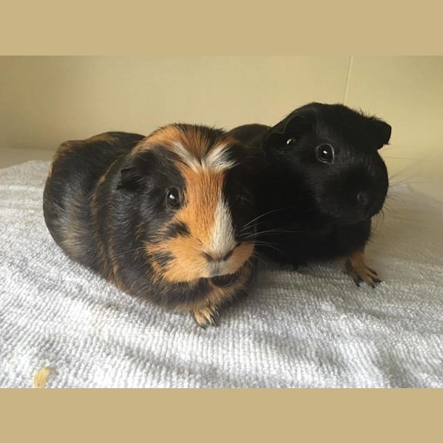 Photo of Milk And Honey