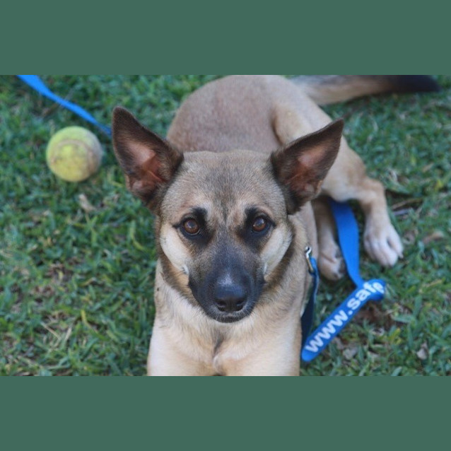 Photo of Emmy (D3382) 