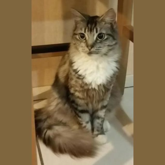 Photo of Cinders