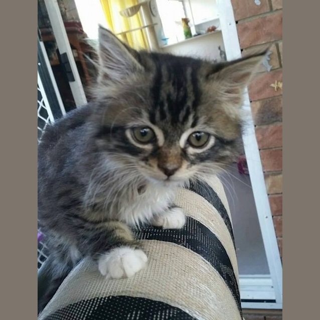 Photo of Lola