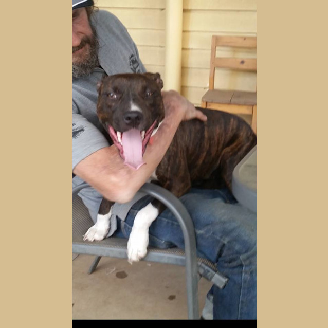 Photo of Nala