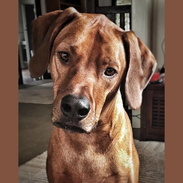 Photo of Riley 