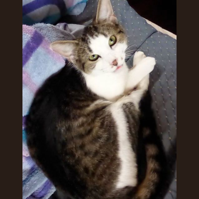 Photo of Muffy