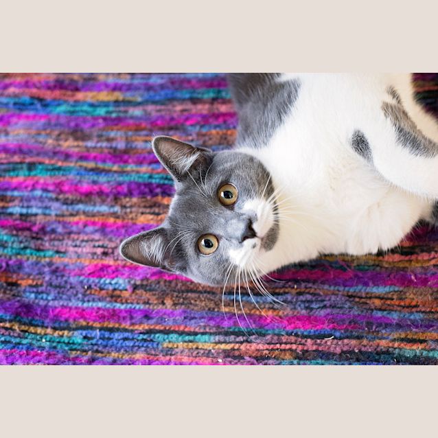 Photo of Tiny