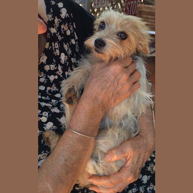 Photo of Cissy