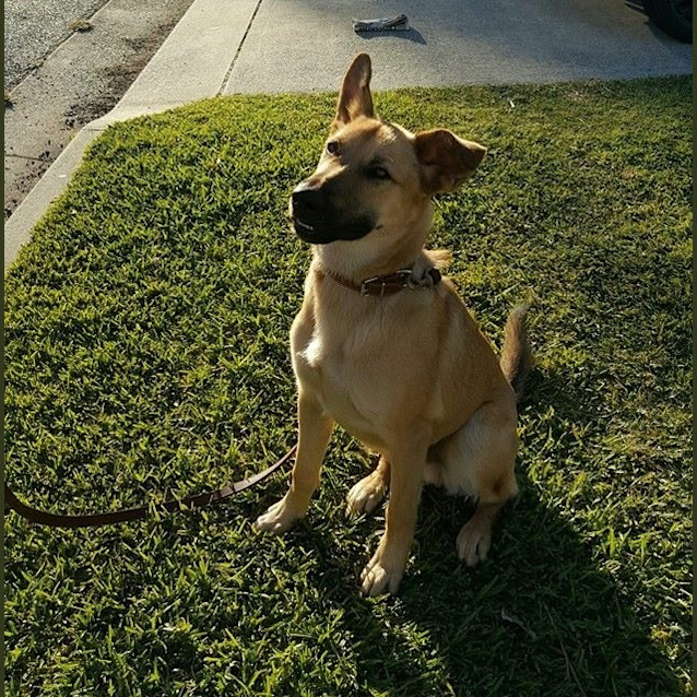 Photo of Duke