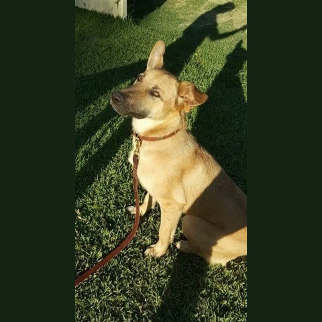 Photo of Duke