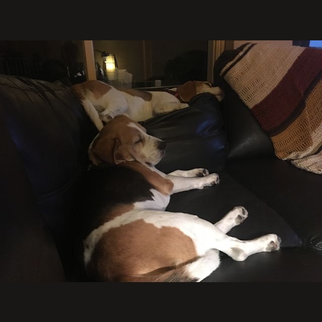 Photo of Basil & Tilly