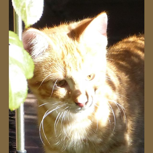 Photo of Junior