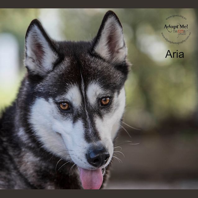 Photo of Aria Id32839